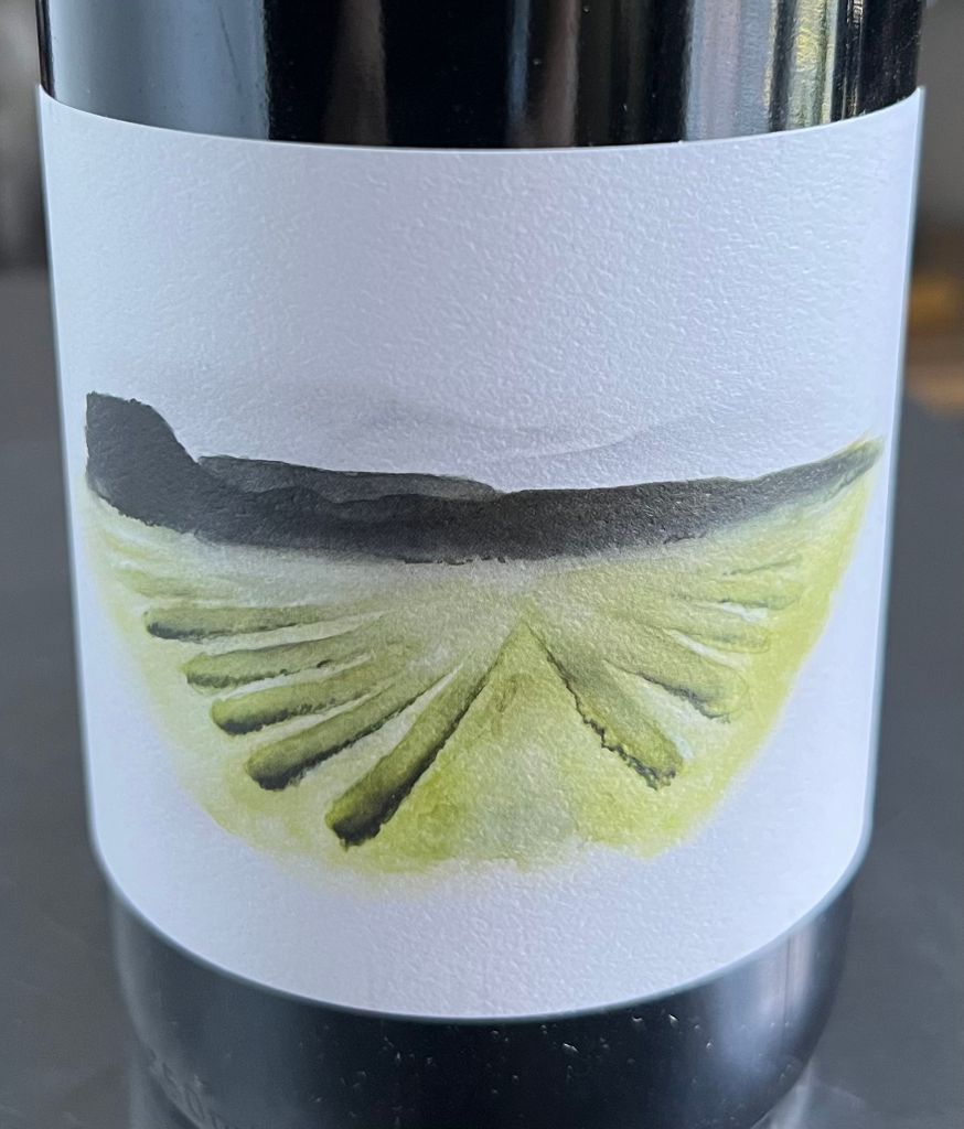 Brij Wines 2022 Syrah