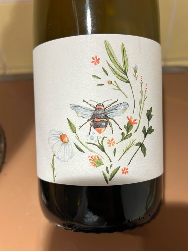 Brij Wines 2023 Chenin Blanc