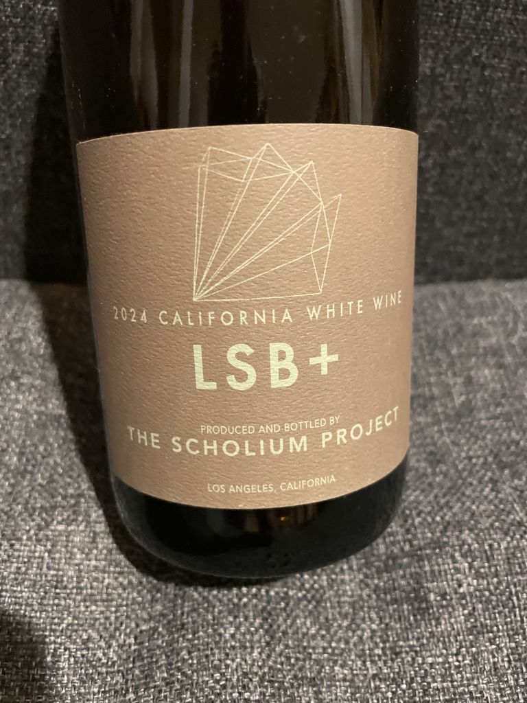 Scholium Project 2024 LSB+